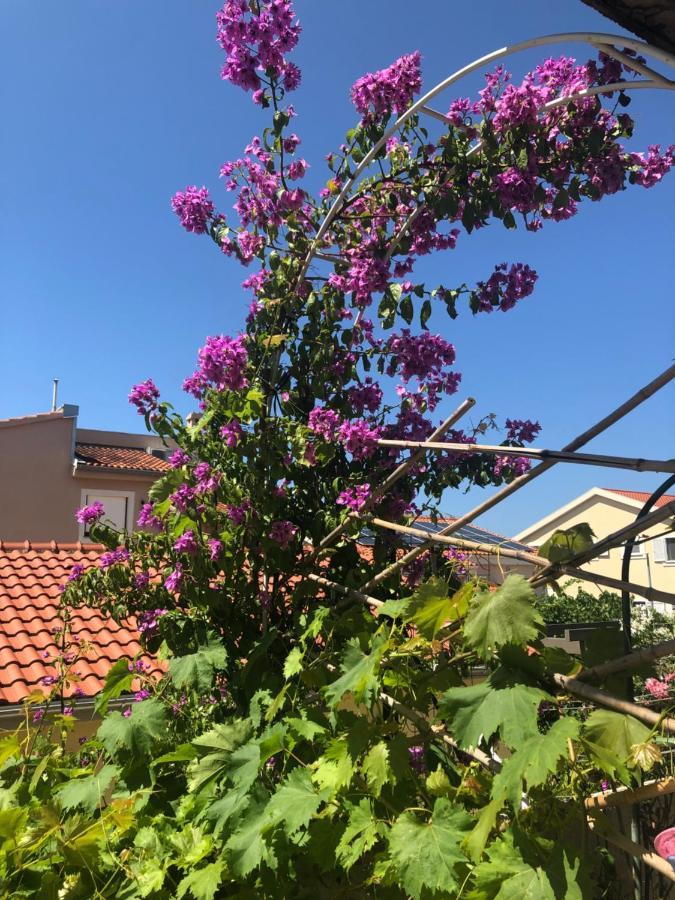 Apartmani Gloria Brodarica  Bagian luar foto
